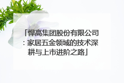 悍高集团股份有限公司：家居五金领域的技术深耕与上市进阶之路